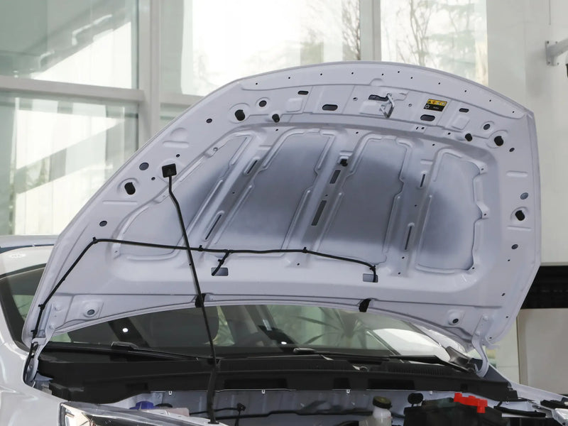 CHERY AIRUIZE E | More Versions Available（Used）
