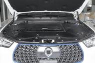 GWM POER EV  | More Versions Available（Used）
